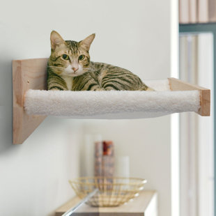 Cat Hammock - Wayfair Canada